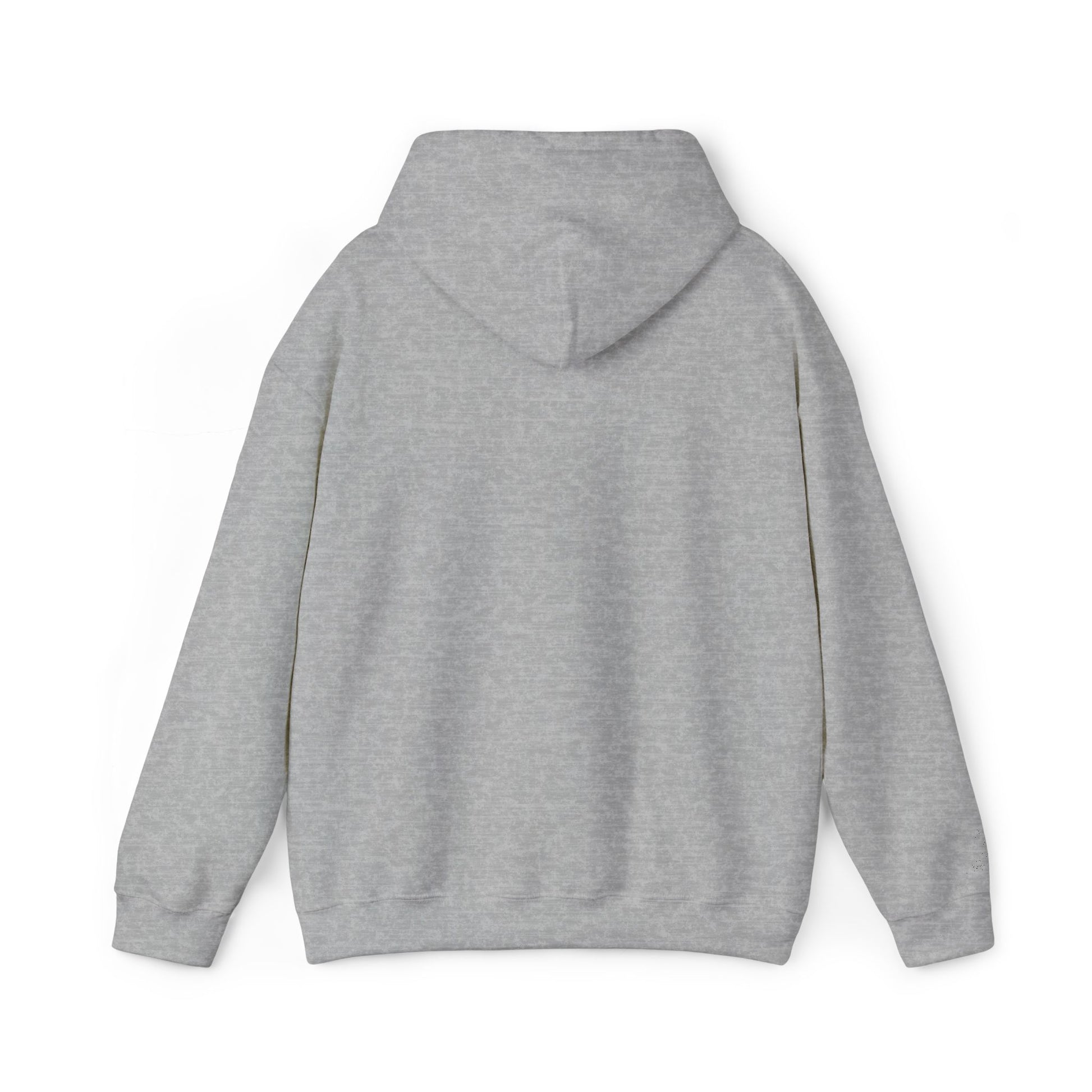 Classic Hoodie (Unisex)