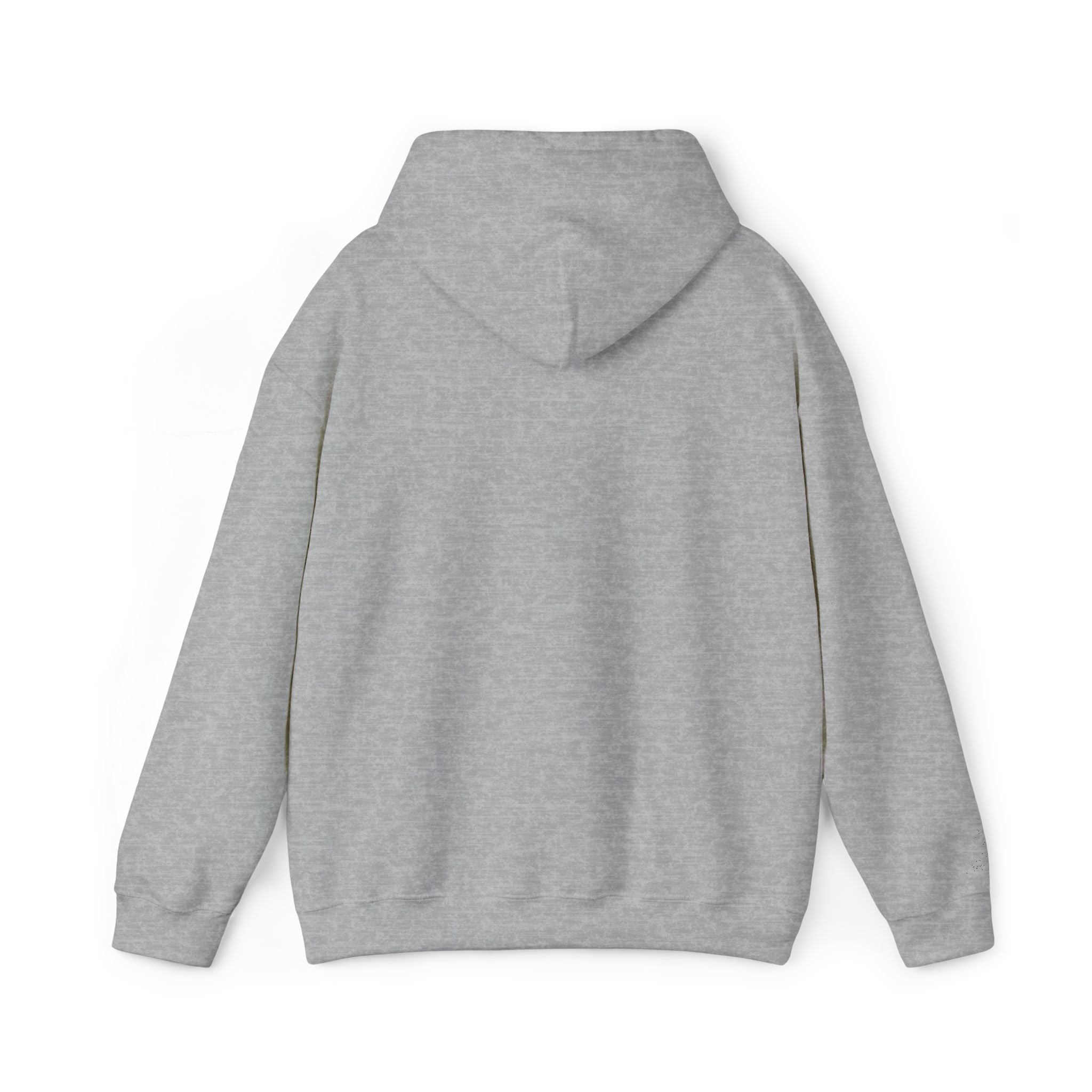 Classic Hoodie (Unisex) - AURUM STYLES™