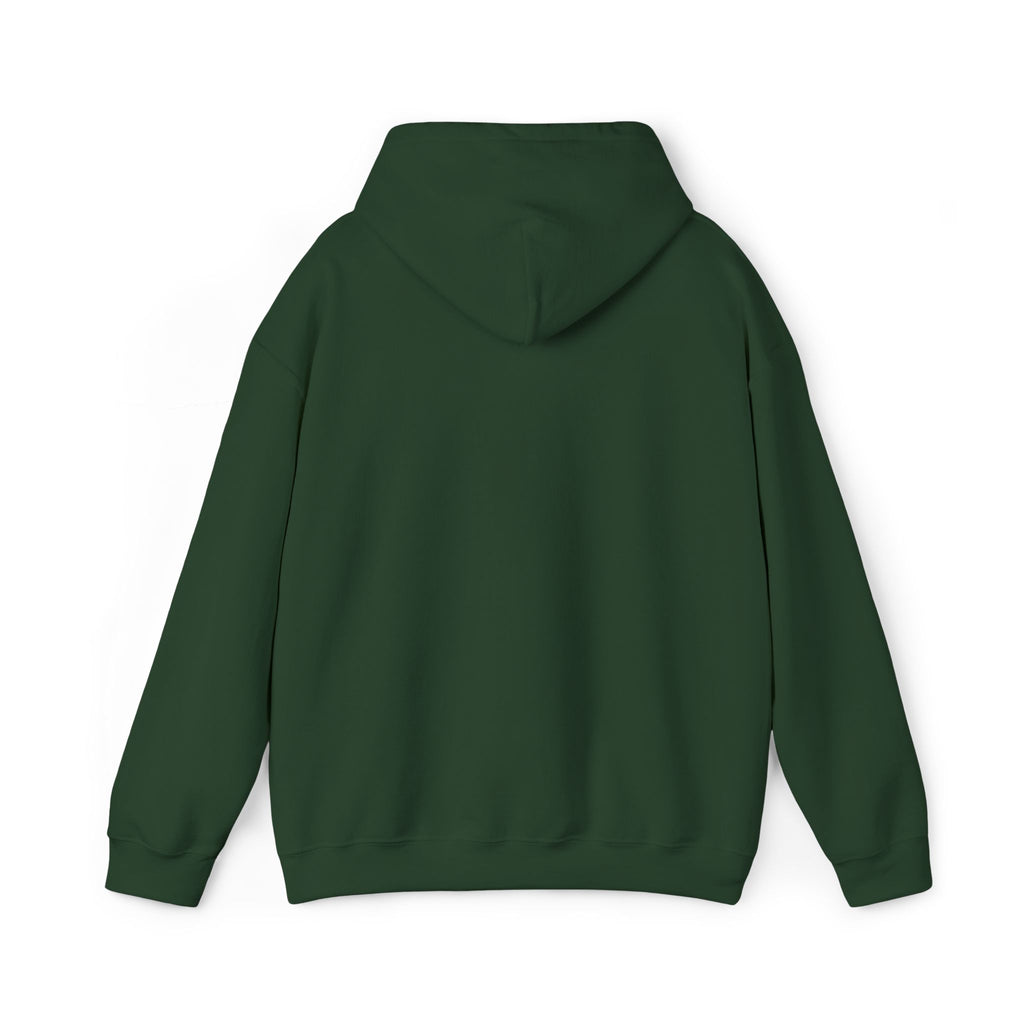 Classic Hoodie (Unisex) - AURUM STYLES™