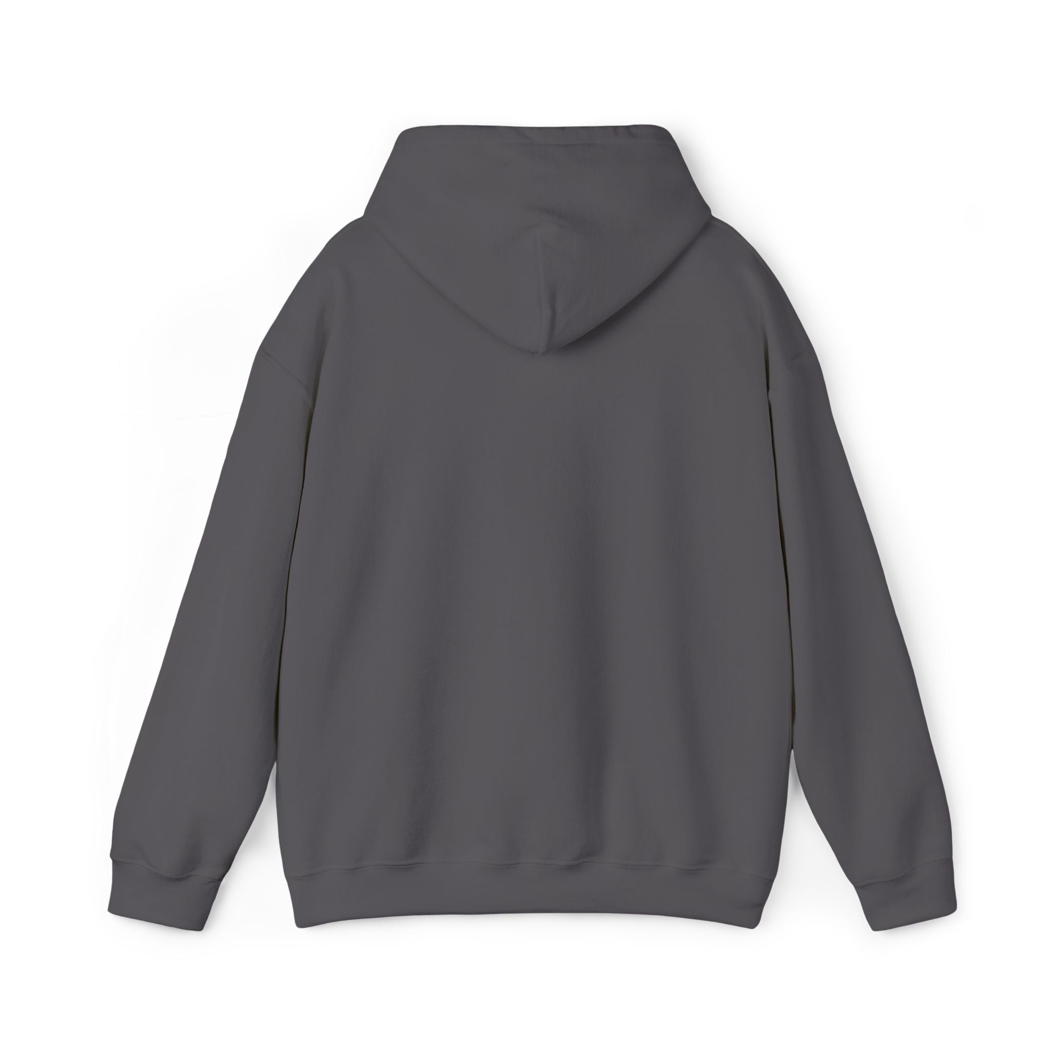 Classic Hoodie (Unisex) - AURUM STYLES™