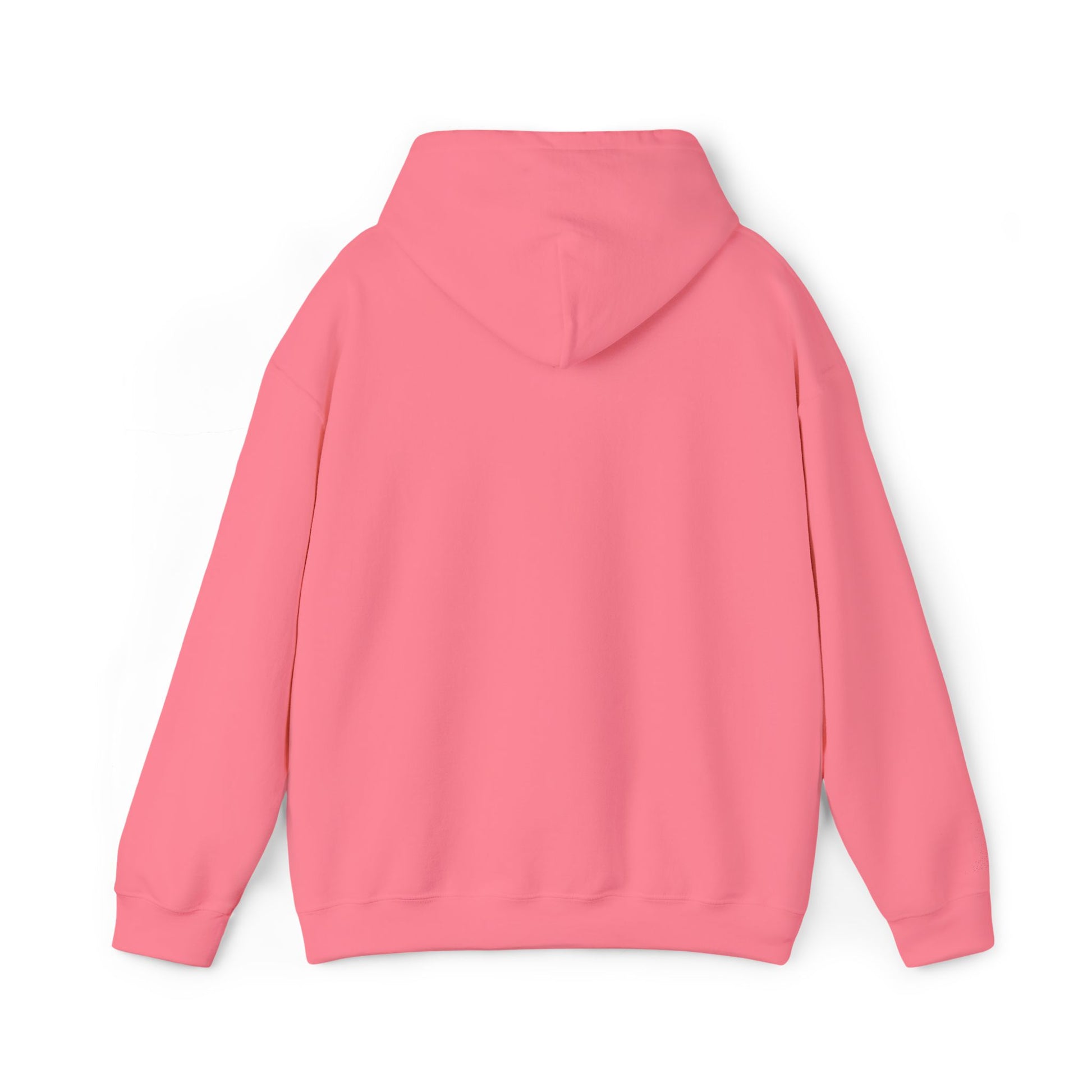 Classic Hoodie (Unisex)