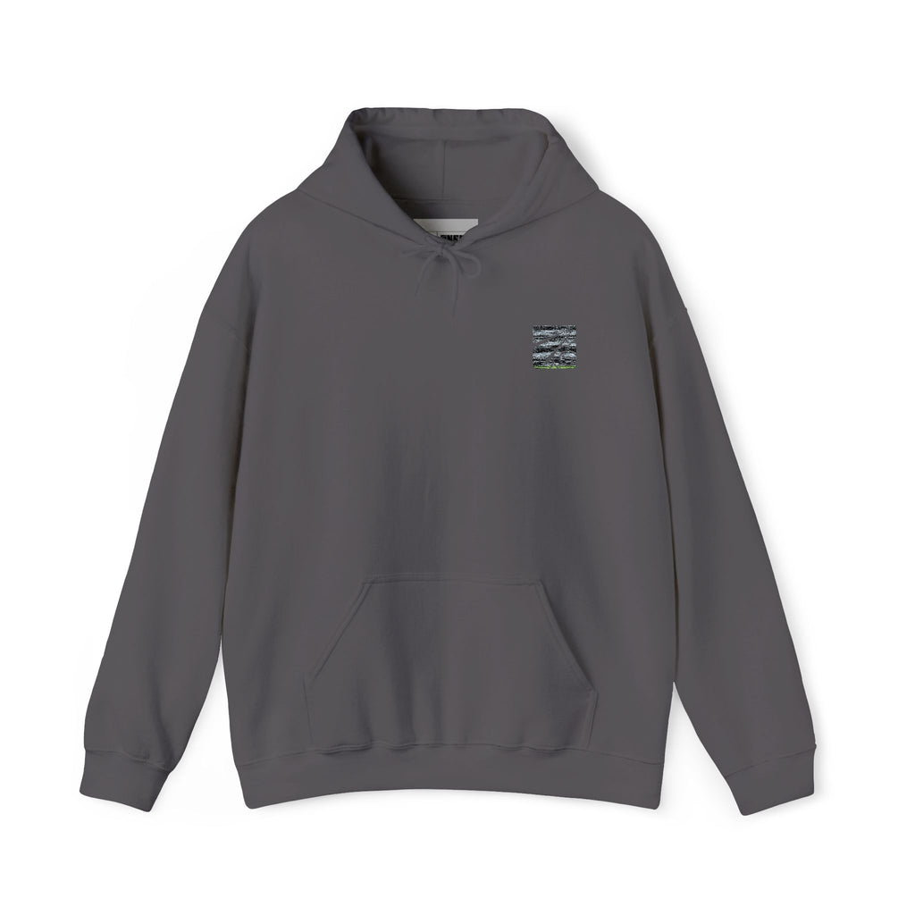 Classic Hoodie (Unisex) - AURUM STYLES™